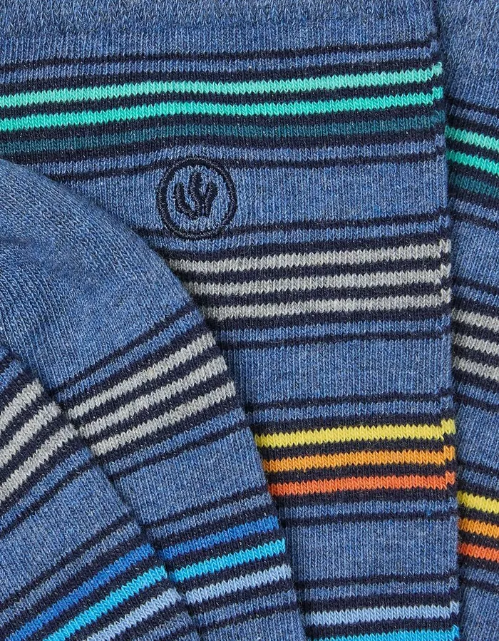 1 Pack Noah Bold Stripe Socks Blue Marl Men FatFace Socks and Underwear