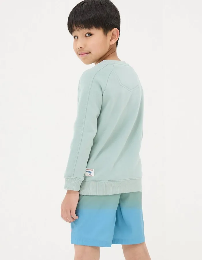 Surf Graphic Crew Sweatshirt Sage Green Boys FatFace Sweatshirts and Hoodies