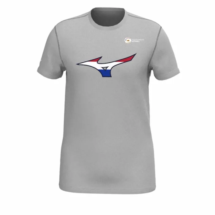Tops Men Mizuno Nevobo Nederland TShirt Men Grey