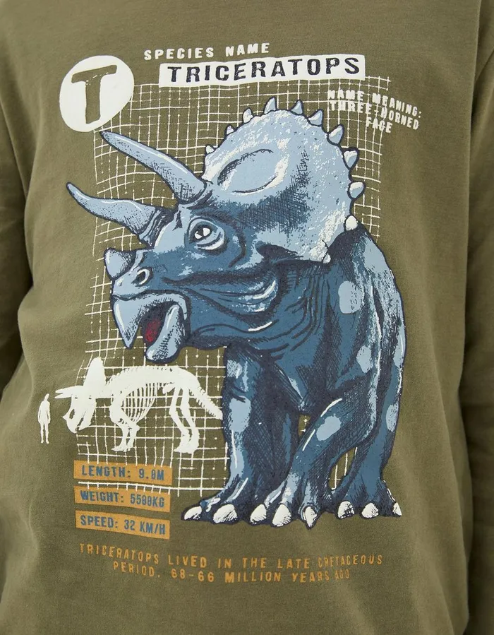 Triceratops Jersey TShirt Khaki Green Boys FatFace TShirts and Polos