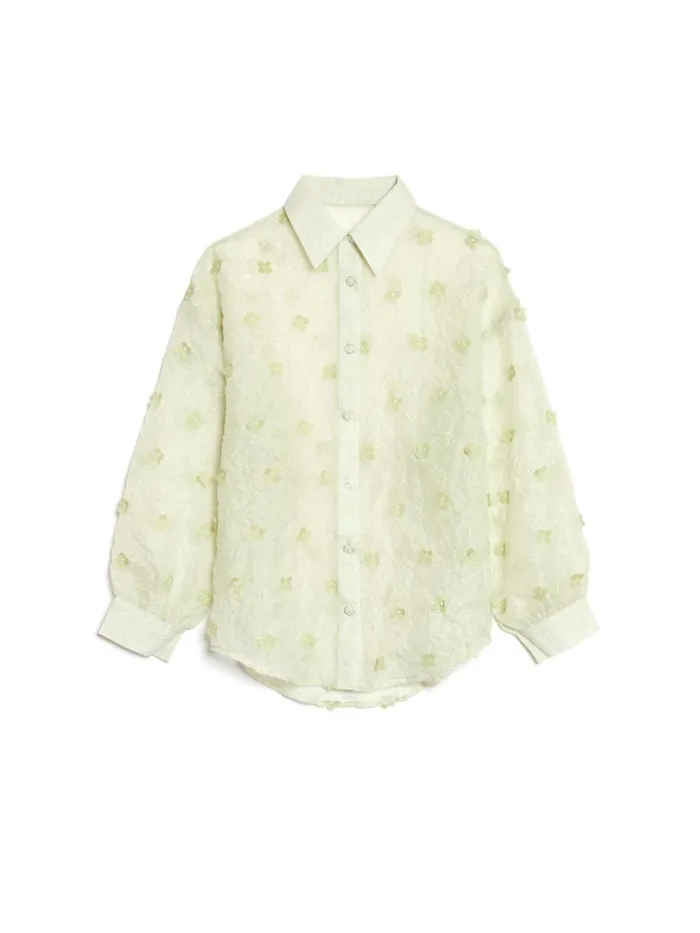 Women DREAM Eden Floral Oversized Shirt Pale Sage Green Sister Jane Tops