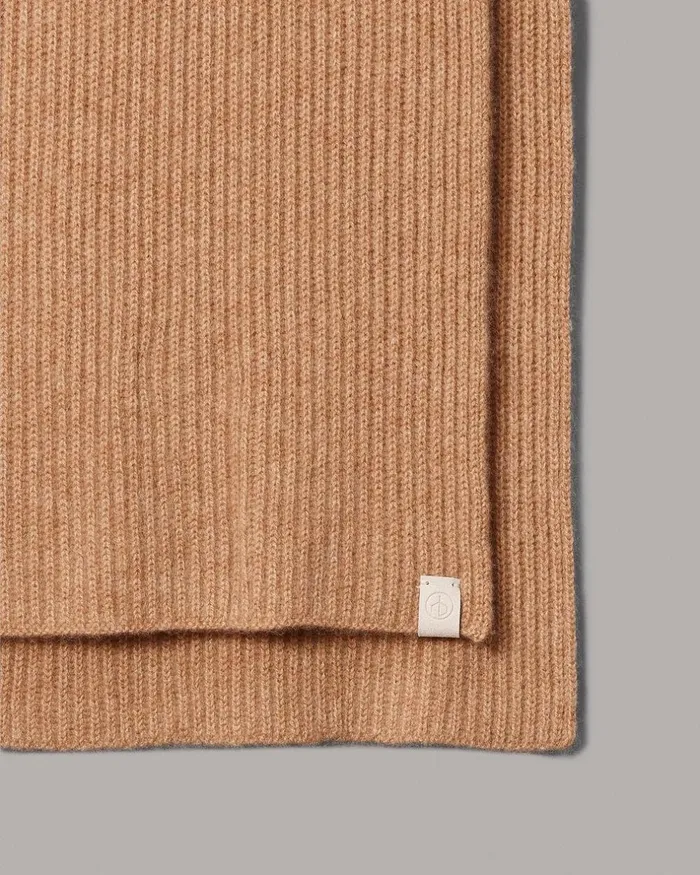 WomenMen Scarves 038 Ponchos Rag 038 Bone Ace Cashmere Scarf Camel