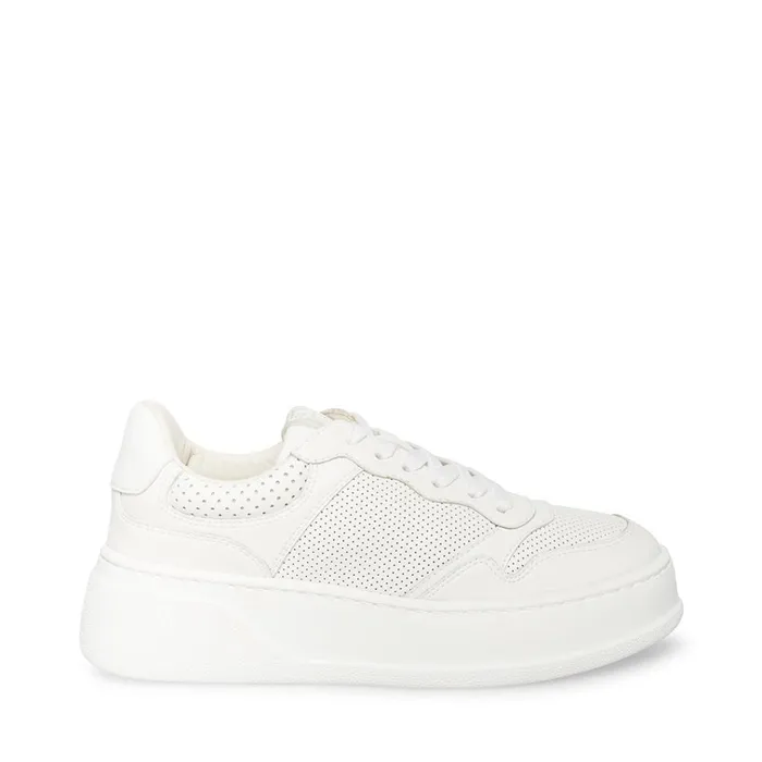 Womens Daley White Steve Madden Sneakers