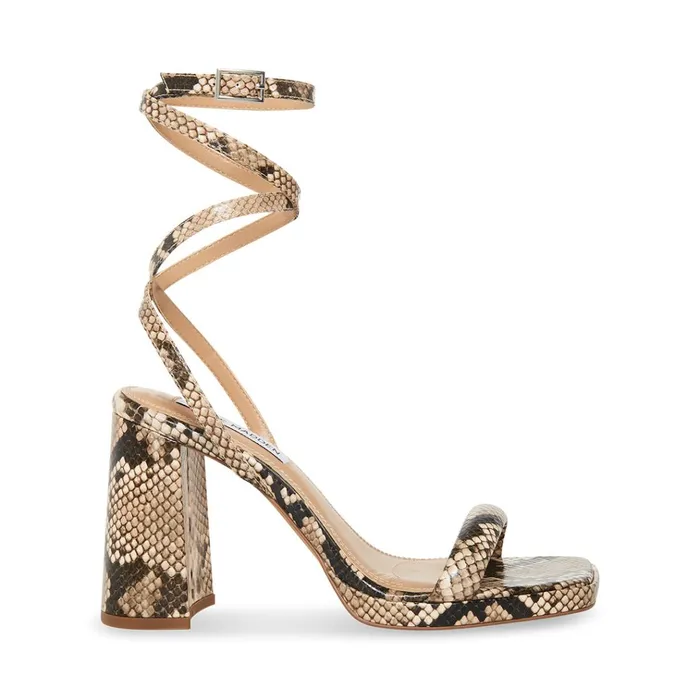 Womens Marley Snake Steve Madden Heels