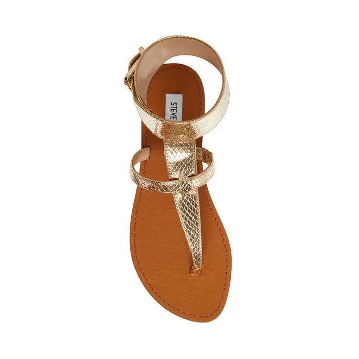 Womens Rico Gold Snake Steve Madden Sandals