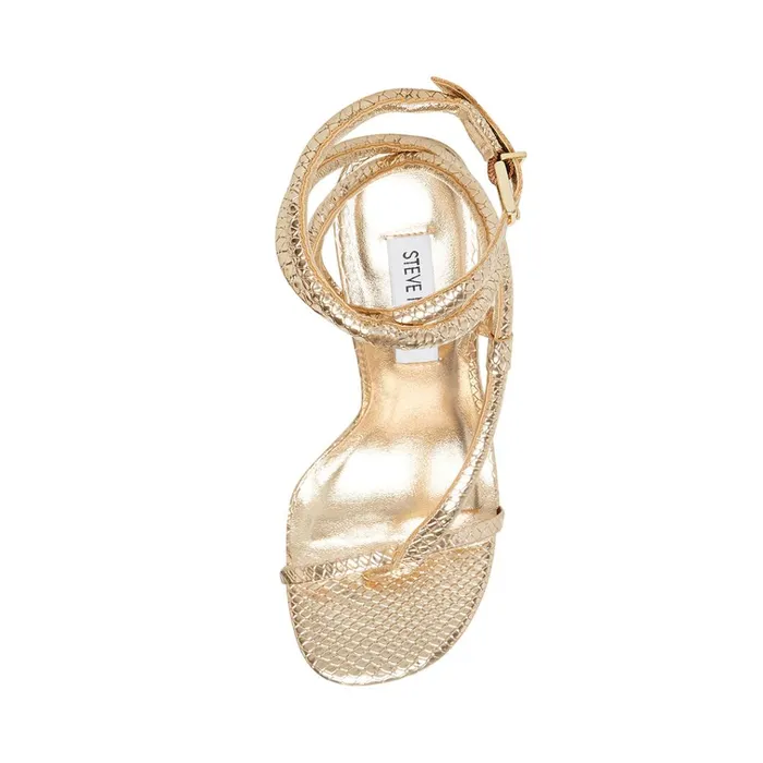 Womens Scalia Gold Snake Steve Madden Heels