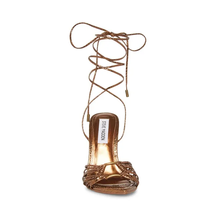 Womens Zaya Bronze Snake Steve Madden Heels Womens Zaya Bronze Snake Steve Madden Heels